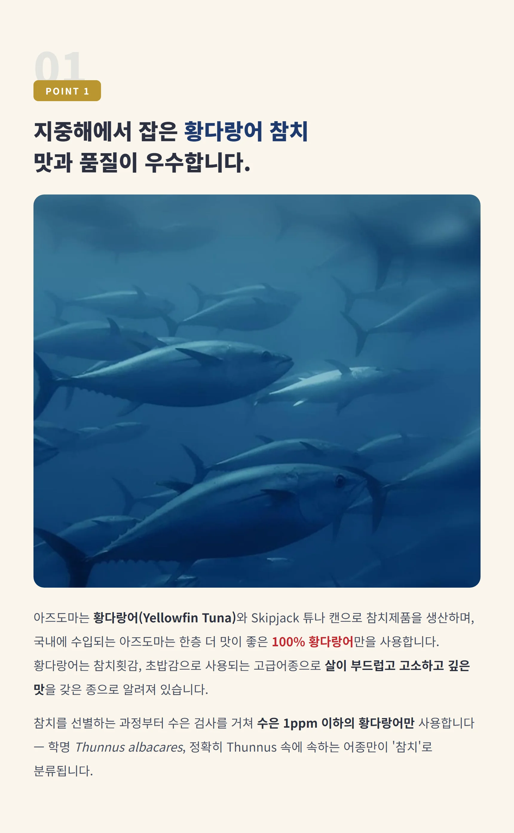 POINT 1 지중해에서 잡은 황다랑어 참치 — 100% 황다랑어, 횟감용 고급어종, 수은 1ppm 이하 선별