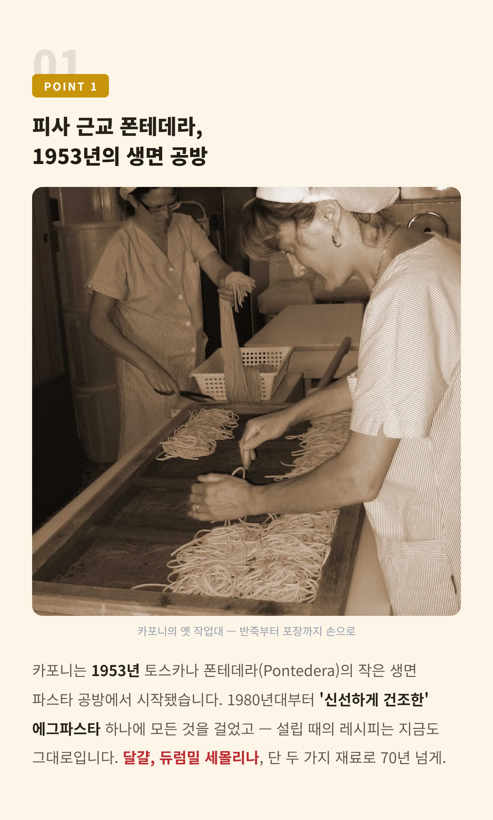 POINT 1 피사 근교 폰테데라의 1953년 생면 공방 — 달걀과 세몰리나 단 두 가지