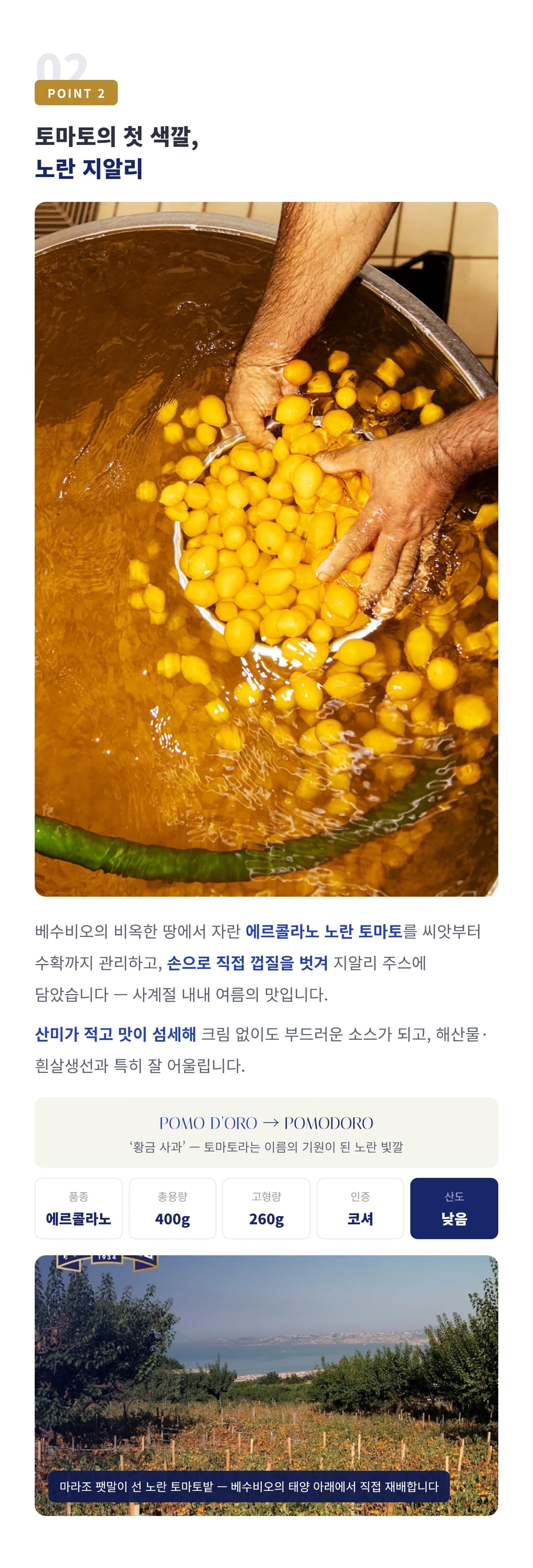 산미는 낮게 풍미는 섬세하게 — 추천 요리 노란 파스타·흰살생선·노란 피자·크림 없는 소스