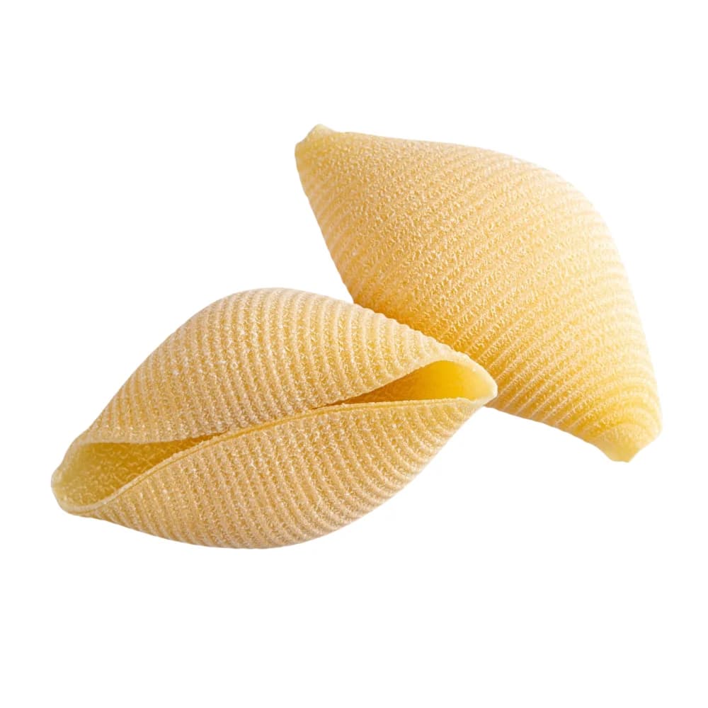 콘킬리오니 500g 1
