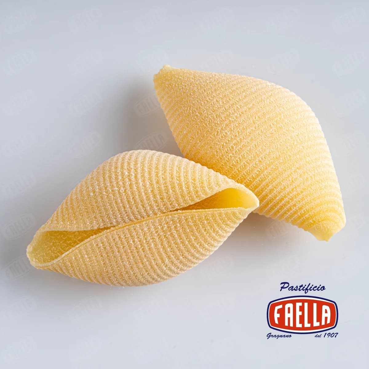 콘킬리오니 500g 2