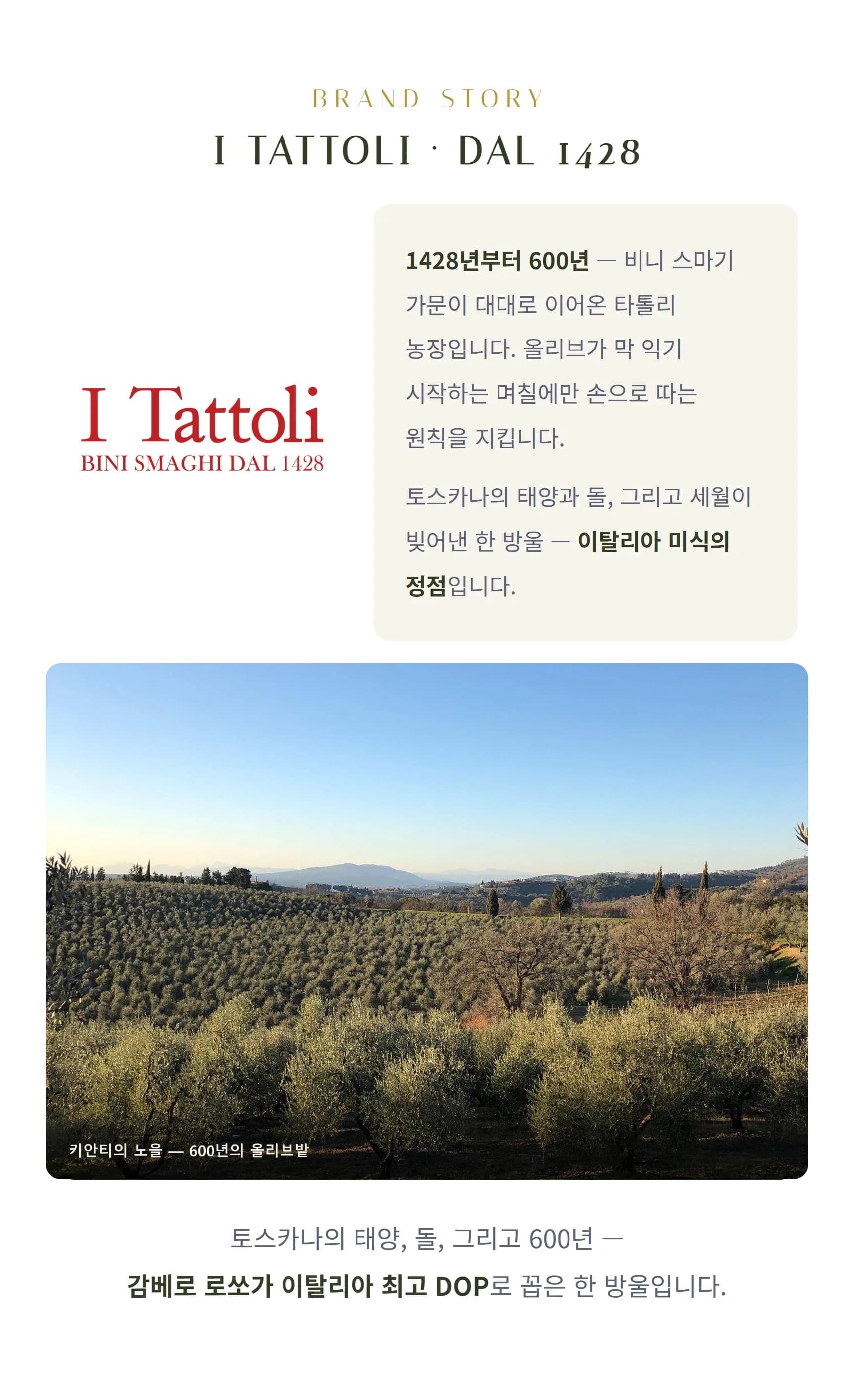 브랜드 스토리 이타톨리 — 1428년부터 600년, 비니 스마기 가문, 키안티의 올리브밭