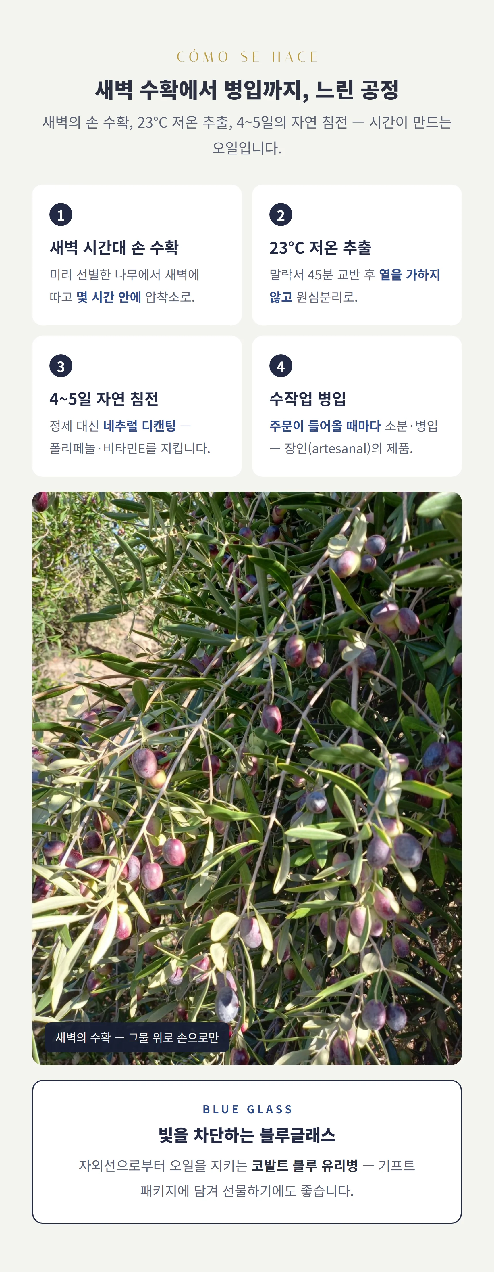새벽 수확에서 병입까지 — 새벽 손 수확·23도 저온 추출·4~5일 자연 침전·수작업 병입, 블루글래스