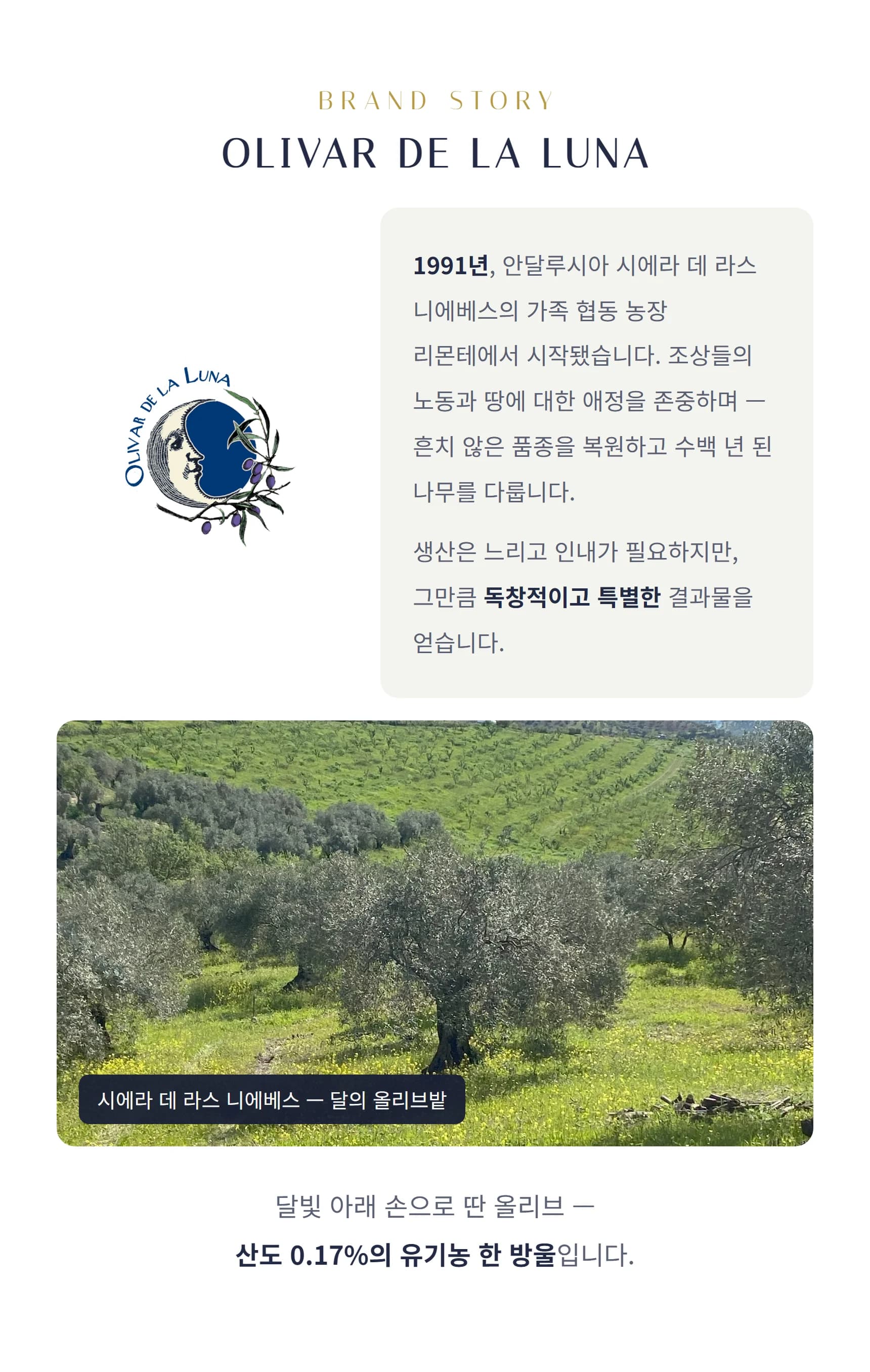 브랜드 스토리 올리바 데 라 루나 — 1991년 리몬테, 시에라 데 라스 니에베스, 달 아래에서 손으로