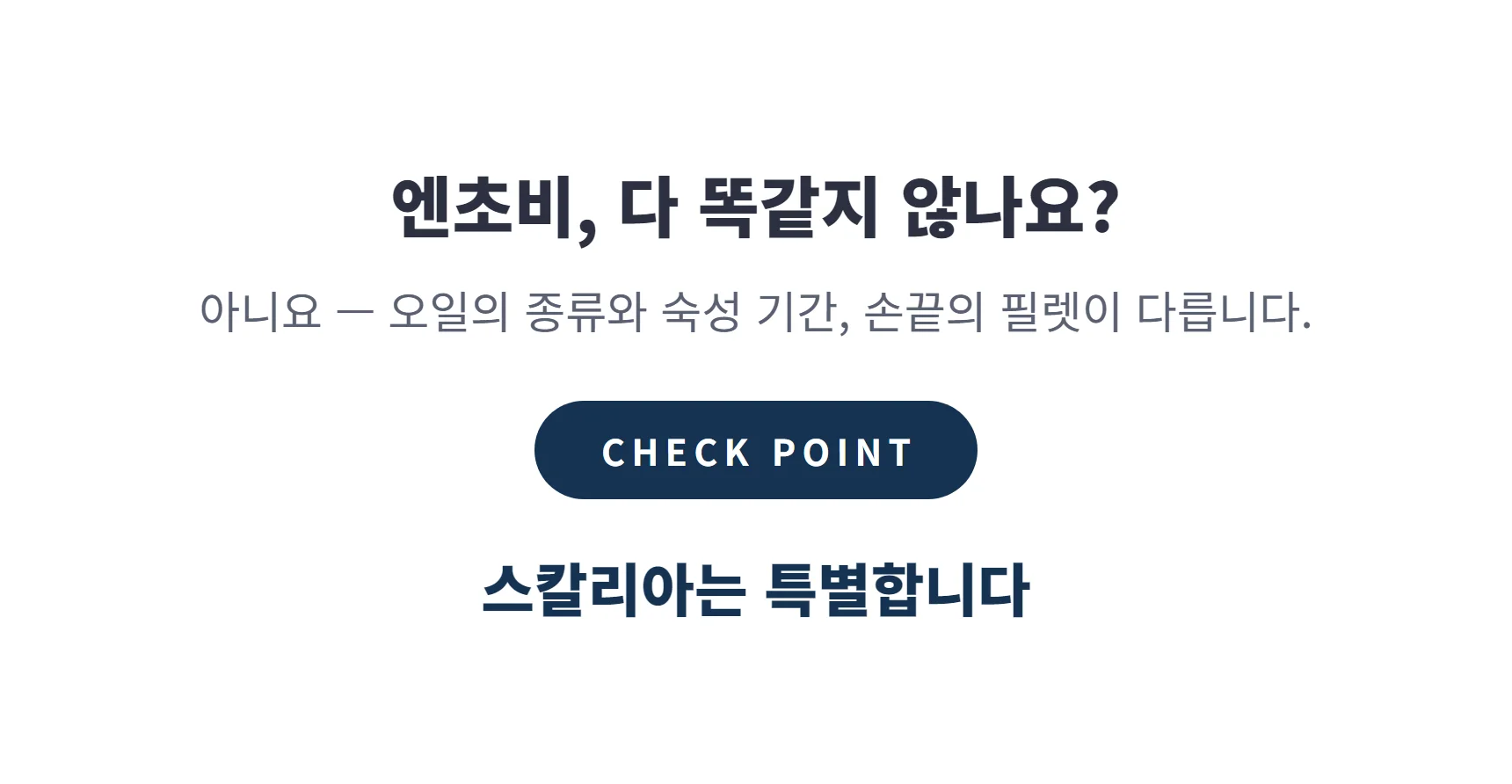 엔초비 다 똑같지 않나요 — 오일·숙성·수작업 필렛이 다릅니다, 스칼리아는 특별합니다