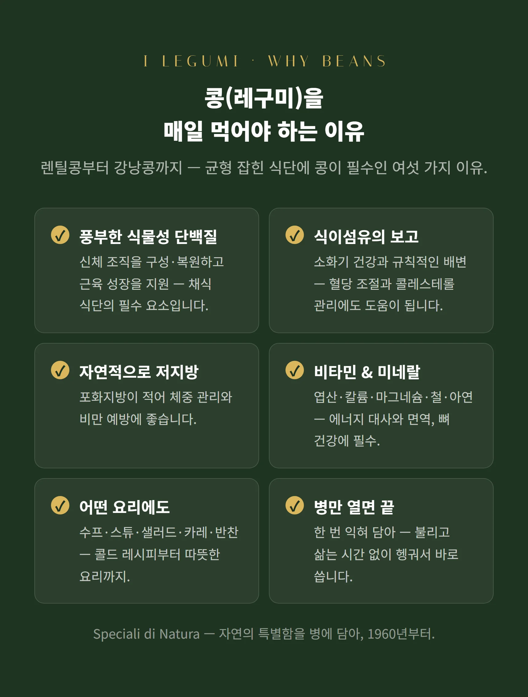 콩을 매일 먹어야 하는 이유 — 식물성 단백질·식이섬유·저지방·비타민·다용도·병만 열면 끝